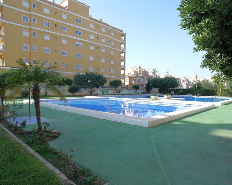 1 makuuhuone Huoneisto vuokrattavana paikassa Torrevieja mukana uima-altaan - 675 € (Ref: 9450501)