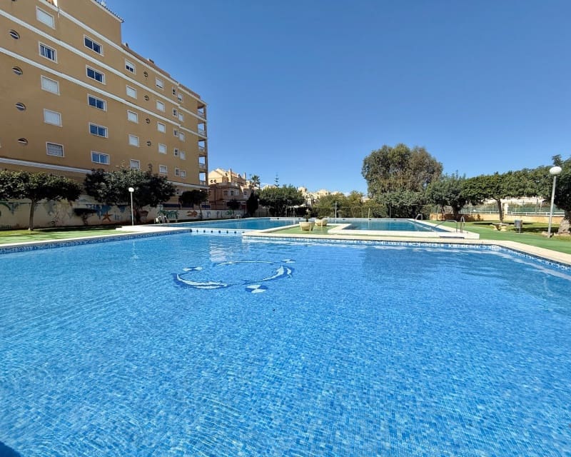 1 makuuhuone Huoneisto vuokrattavana paikassa Torrevieja mukana uima-altaan - 675 € (Ref: 9450501)