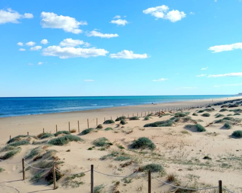 3 Zimmer Apartment zu vermieten in La Mata mit Pool - 1.100 € (Ref: 9464858)