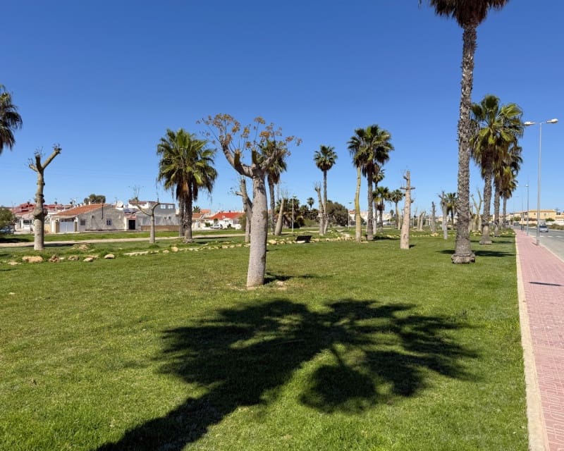 2 makuuhuone Huoneisto vuokrattavana paikassa Torrevieja mukana uima-altaan - 800 € (Ref: 9535258)