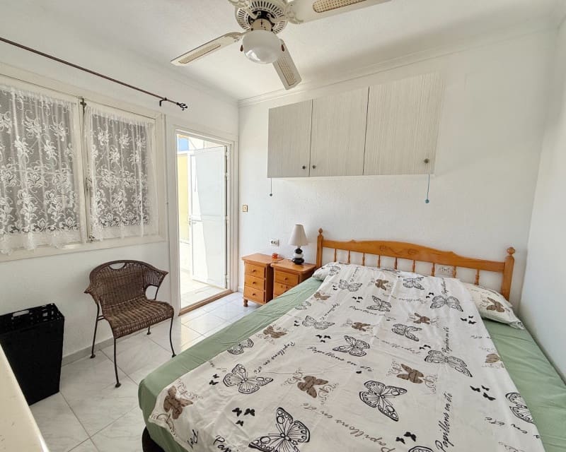 1 bedroom Apartment for rent in Torrevieja with pool - € 620 (Ref: 9626512)