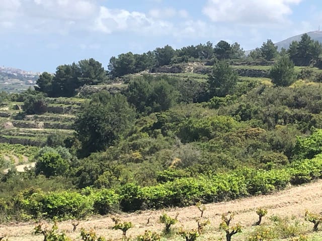 Bouwgrond te koop in Teulada-Moraira - € 135.000 (Ref: 9548513)