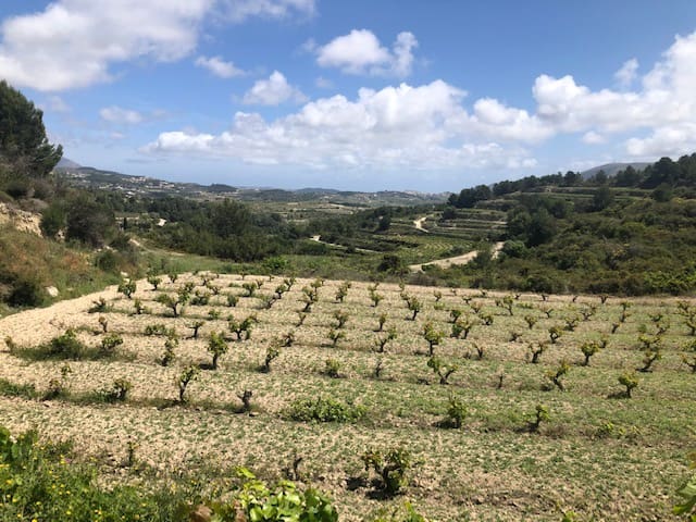 Bouwgrond te koop in Teulada-Moraira - € 135.000 (Ref: 9548513)