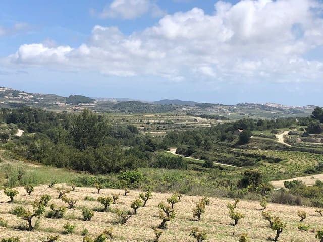 Bouwgrond te koop in Teulada-Moraira - € 135.000 (Ref: 9548513)