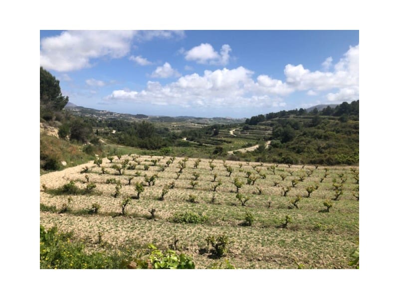 Building Plot for sale in Teulada - € 135,000 (Ref: 9548513)