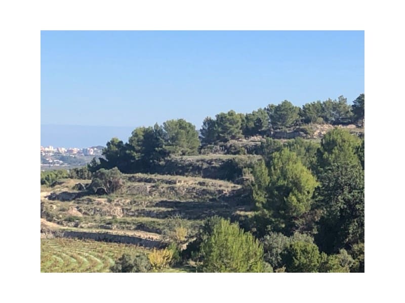 Building Plot for sale in Teulada - € 135,000 (Ref: 9548513)