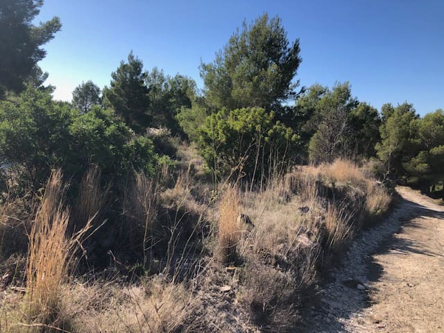 Działka budowlana na sprzedaż w Teulada-Moraira - 306 360 € (Ref: 9548514)