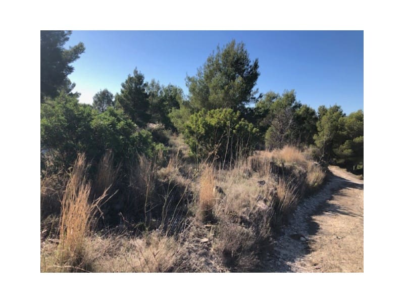 Building Plot for sale in Teulada - € 306,360 (Ref: 9548514)