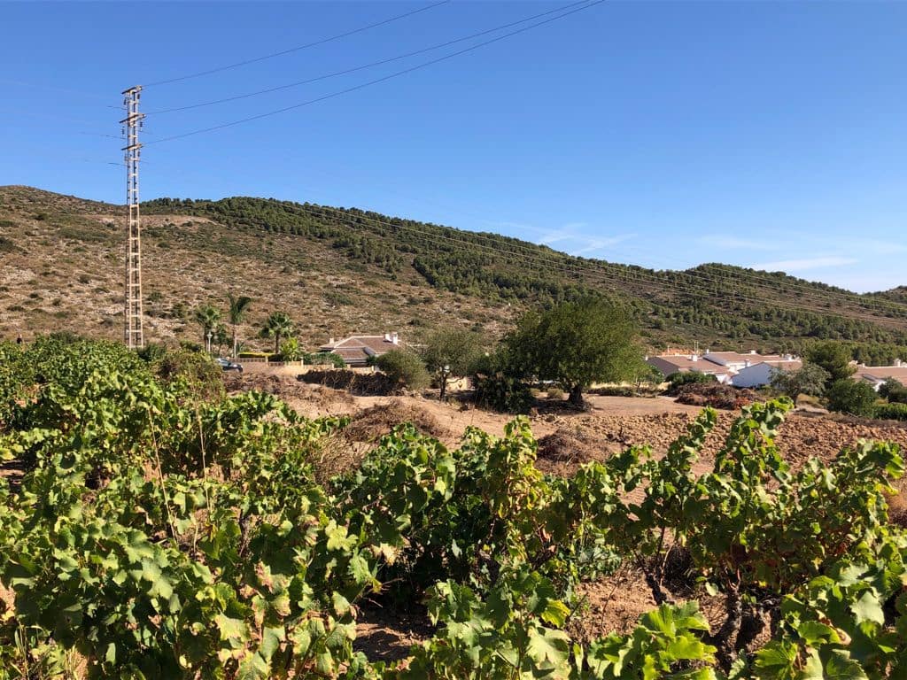 Building Plot for sale in Benitachell / Benitatxell - € 277,728 (Ref: 9548515)