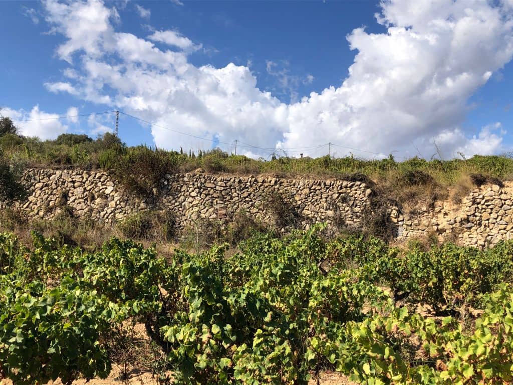 Building Plot for sale in Benitachell / Benitatxell - € 277,728 (Ref: 9548515)