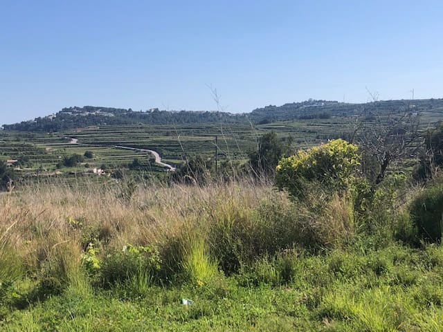 Byggegrund til salg i Moraira - € 590.000 (Ref: 9548524)