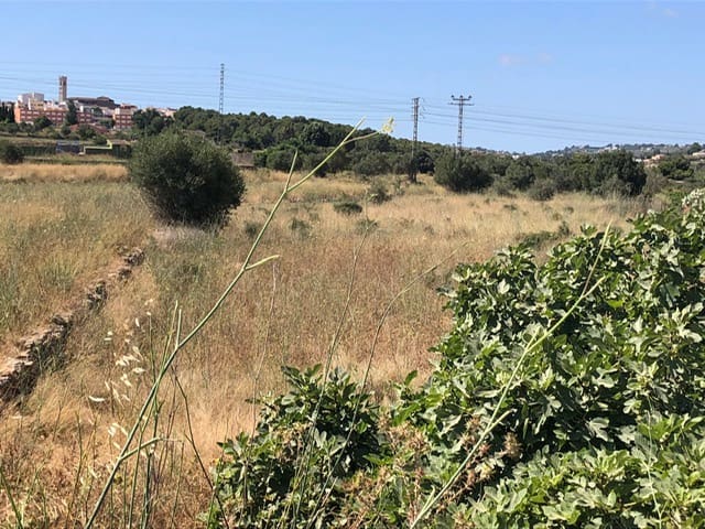 Działka budowlana na sprzedaż w Teulada-Moraira - 182 913 € (Ref: 9548525)