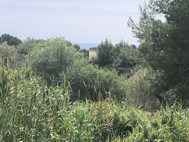 Area Edificabile in vendita in Benissa - 150.000 € (Rif: 9548526)