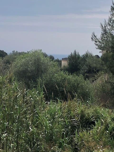 Area Edificabile in vendita in Benissa - 150.000 € (Rif: 9548526)