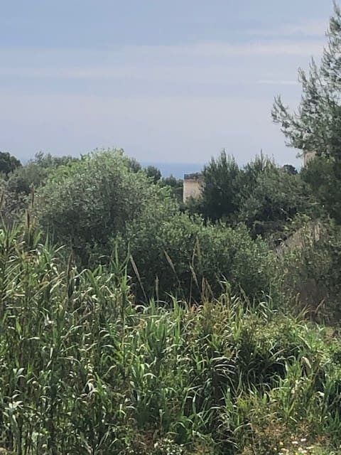 Area Edificabile in vendita in Benissa - 150.000 € (Rif: 9548526)