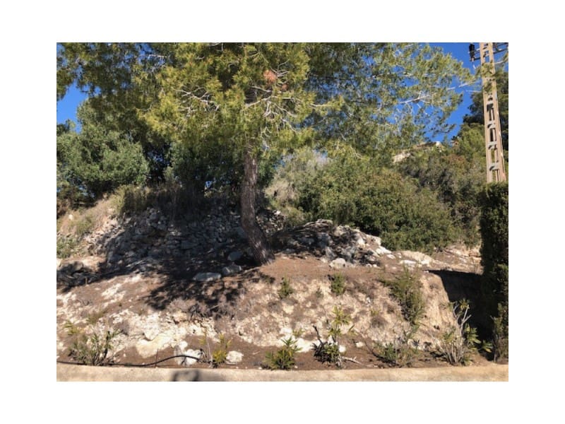 Building Plot for sale in Teulada - € 260,000 (Ref: 9548527)