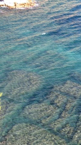 Tomt till salu i Benissa - 2 500 000 € (Ref: 9548529)