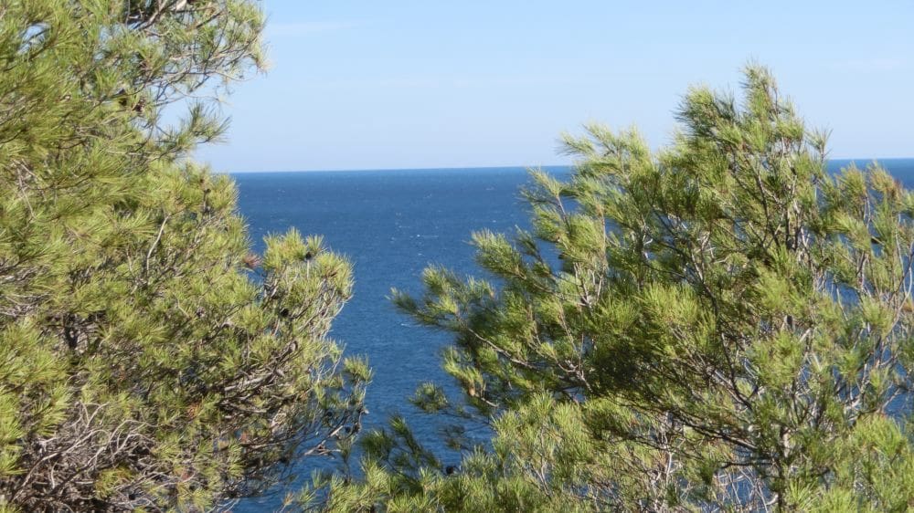 Tomt till salu i Benissa - 2 500 000 € (Ref: 9548529)