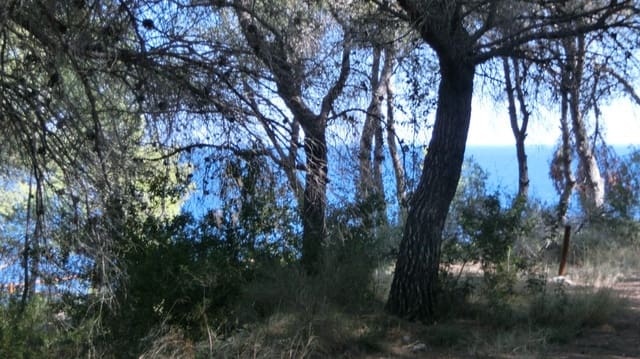 Tomt till salu i Benissa - 2 500 000 € (Ref: 9548529)