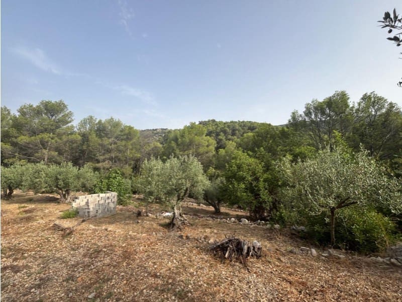 Rakentamaton maa myytävänä paikassa Parcent - 70 000 € (Ref: 9552336)