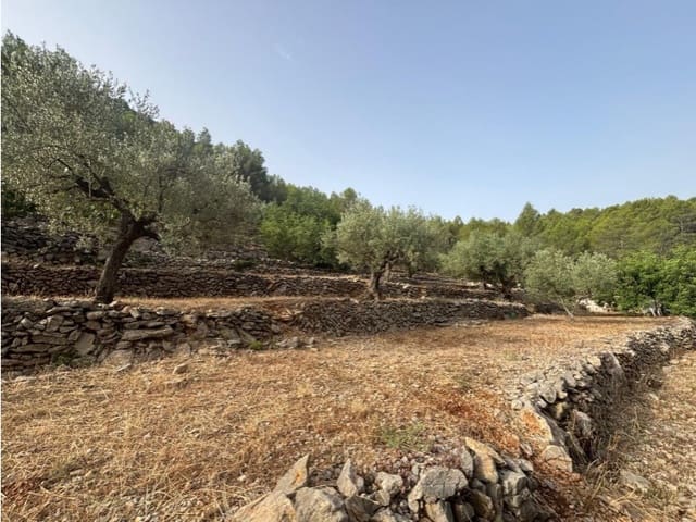 Ubebygd land til salgs i Parcent - € 70 000 (Ref: 9552336)