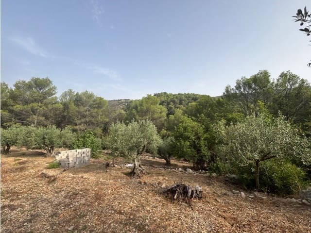 Ubebygd land til salgs i Parcent - € 70 000 (Ref: 9552336)