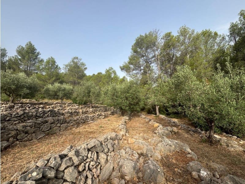 Rakentamaton maa myytävänä paikassa Parcent - 70 000 € (Ref: 9552336)