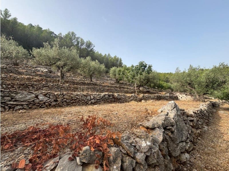 Rakentamaton maa myytävänä paikassa Parcent - 70 000 € (Ref: 9552336)