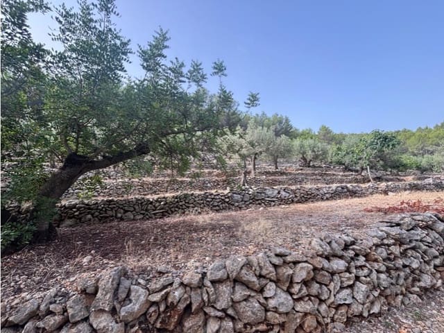 Ubebygd land til salgs i Parcent - € 70 000 (Ref: 9552336)