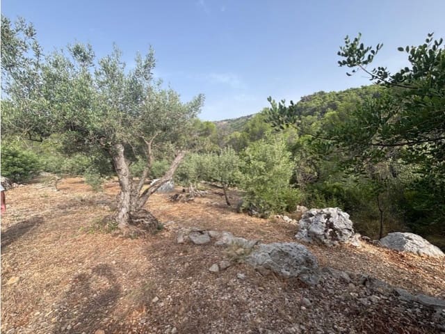 Ubebygd land til salgs i Parcent - € 70 000 (Ref: 9552336)