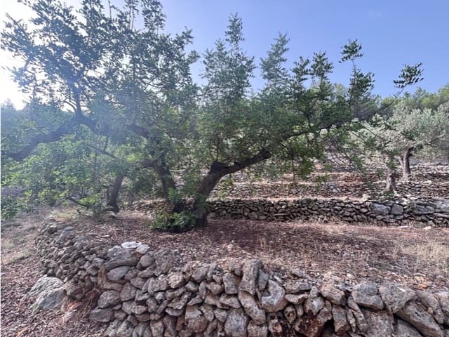 Ubebygd land til salgs i Parcent - € 70 000 (Ref: 9552336)