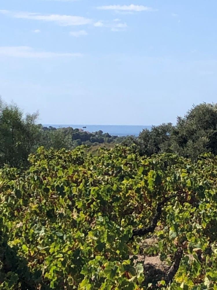 Finca/Casa Rural de 2 habitaciones en Moraira en venta - 300.000 € (Ref: 9596584)