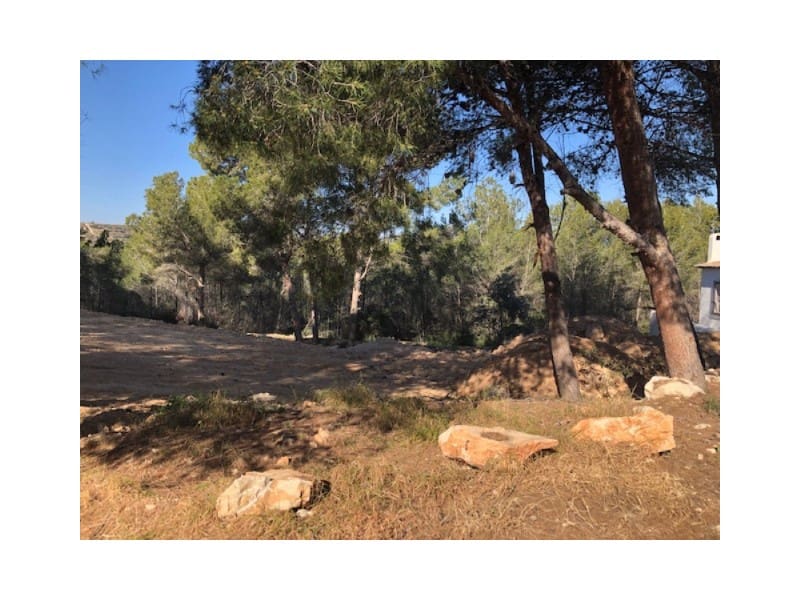 Ubebygd land til salgs i Moraira - € 240 000 (Ref: 9596585)
