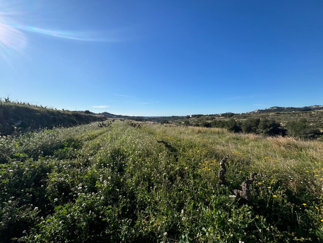 Terrain à Bâtir à vendre à Teulada-Moraira - 95 000 € (Ref: 9596586)