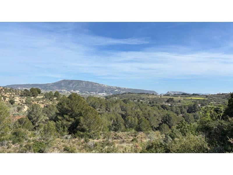 Undeveloped Land for sale in Teulada - € 215,000 (Ref: 9596586)