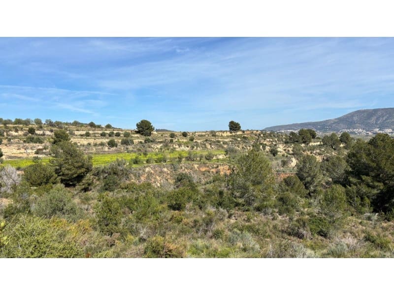 Undeveloped Land for sale in Teulada - € 215,000 (Ref: 9596586)