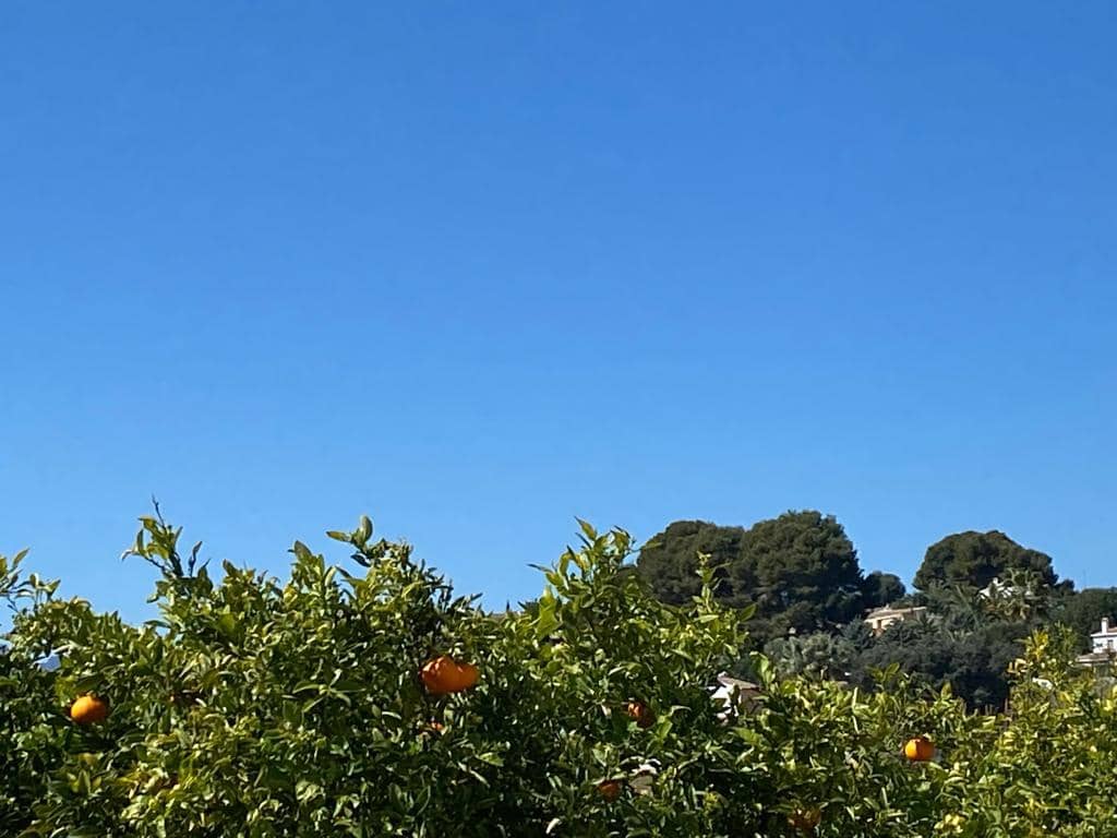 Byggetomt til salgs i Benissa - € 165 000 (Ref: 9596587)