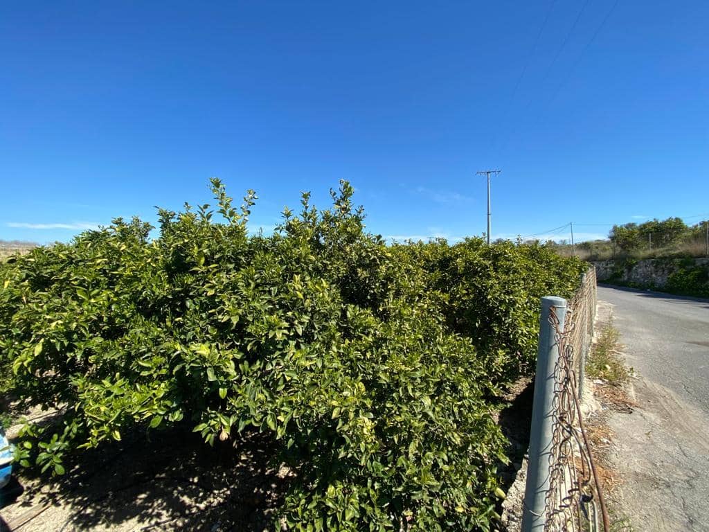 Byggetomt til salgs i Benissa - € 165 000 (Ref: 9596587)