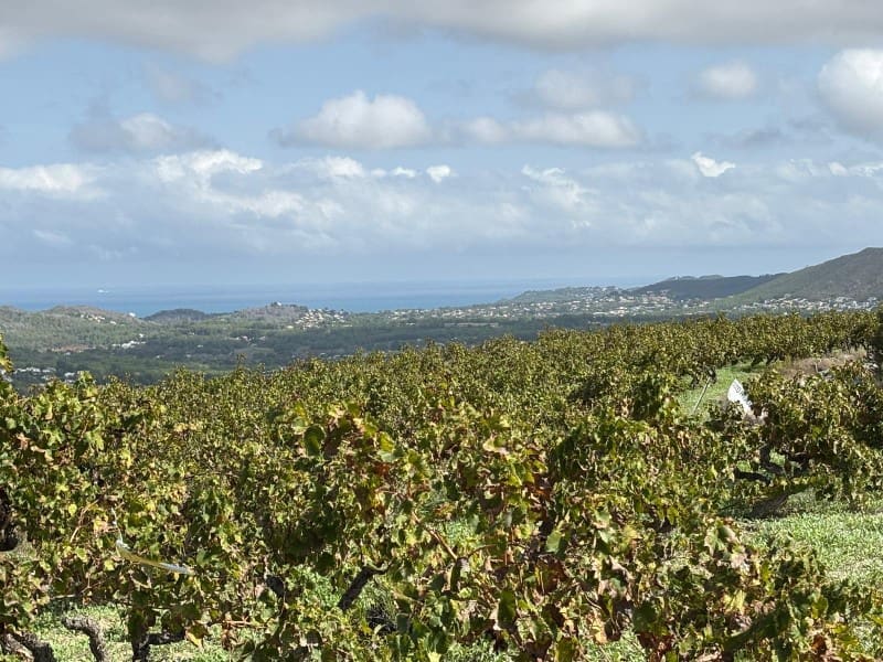 Bouwgrond te koop in Moraira - € 525.000 (Ref: 9652826)