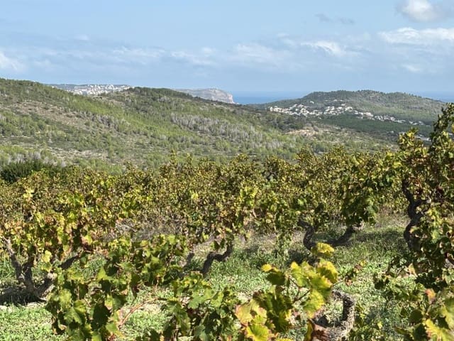 Bouwgrond te koop in Benimeit - Tabaira, Teulada-Moraira - € 525.000 (Ref: 9652826)