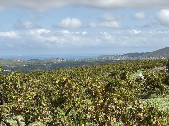 Bouwgrond te koop in Benimeit - Tabaira, Teulada-Moraira - € 525.000 (Ref: 9652826)