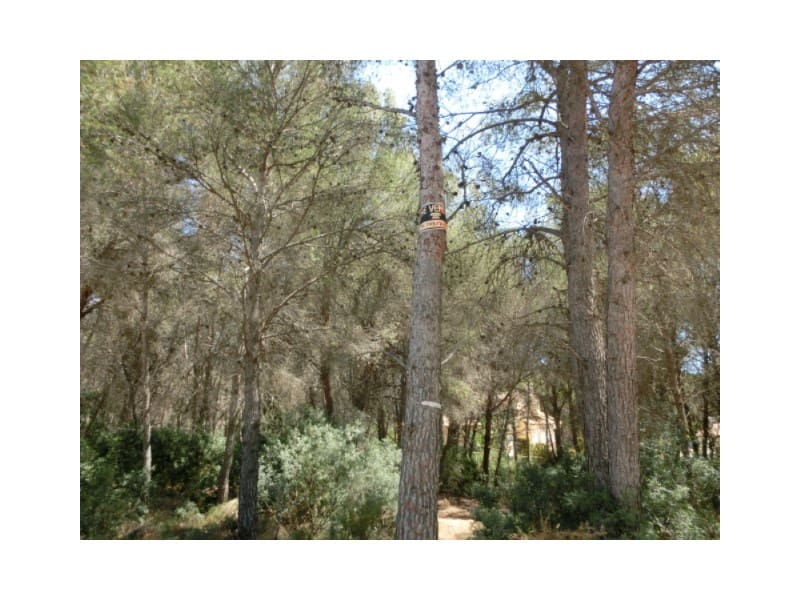 Byggegrund til salg i Moraira - € 265.000 (Ref: 9652830)