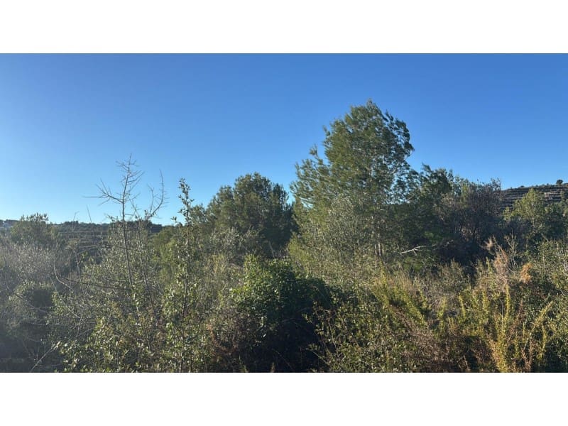 Grond te koop in Teulada - € 145.000 (Ref: 9652835)