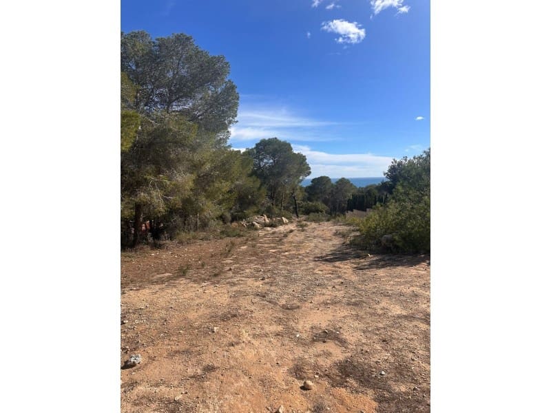 Terrain à Bâtir à vendre à Benissa - 470 000 € (Ref: 9677090)