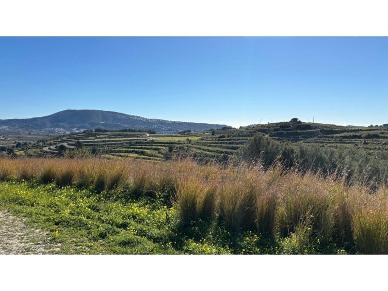 Grond te koop in Teulada - € 160.000 (Ref: 9758776)