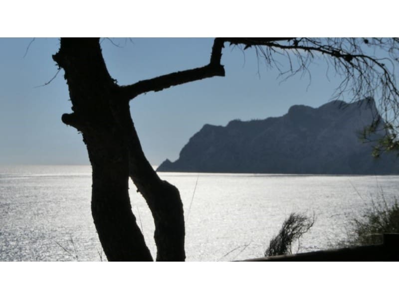 Undeveloped Land for sale in Benissa - € 2,550,000 (Ref: 9790887)