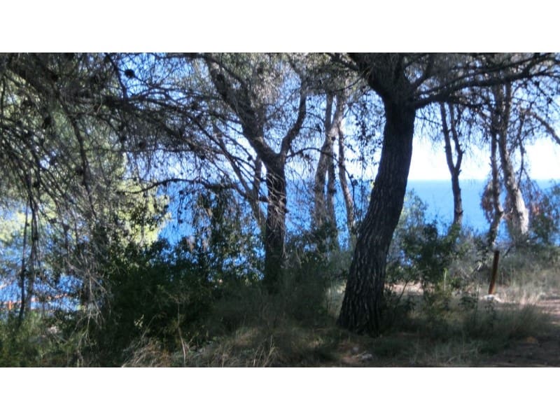 Undeveloped Land for sale in Benissa - € 2,550,000 (Ref: 9790887)