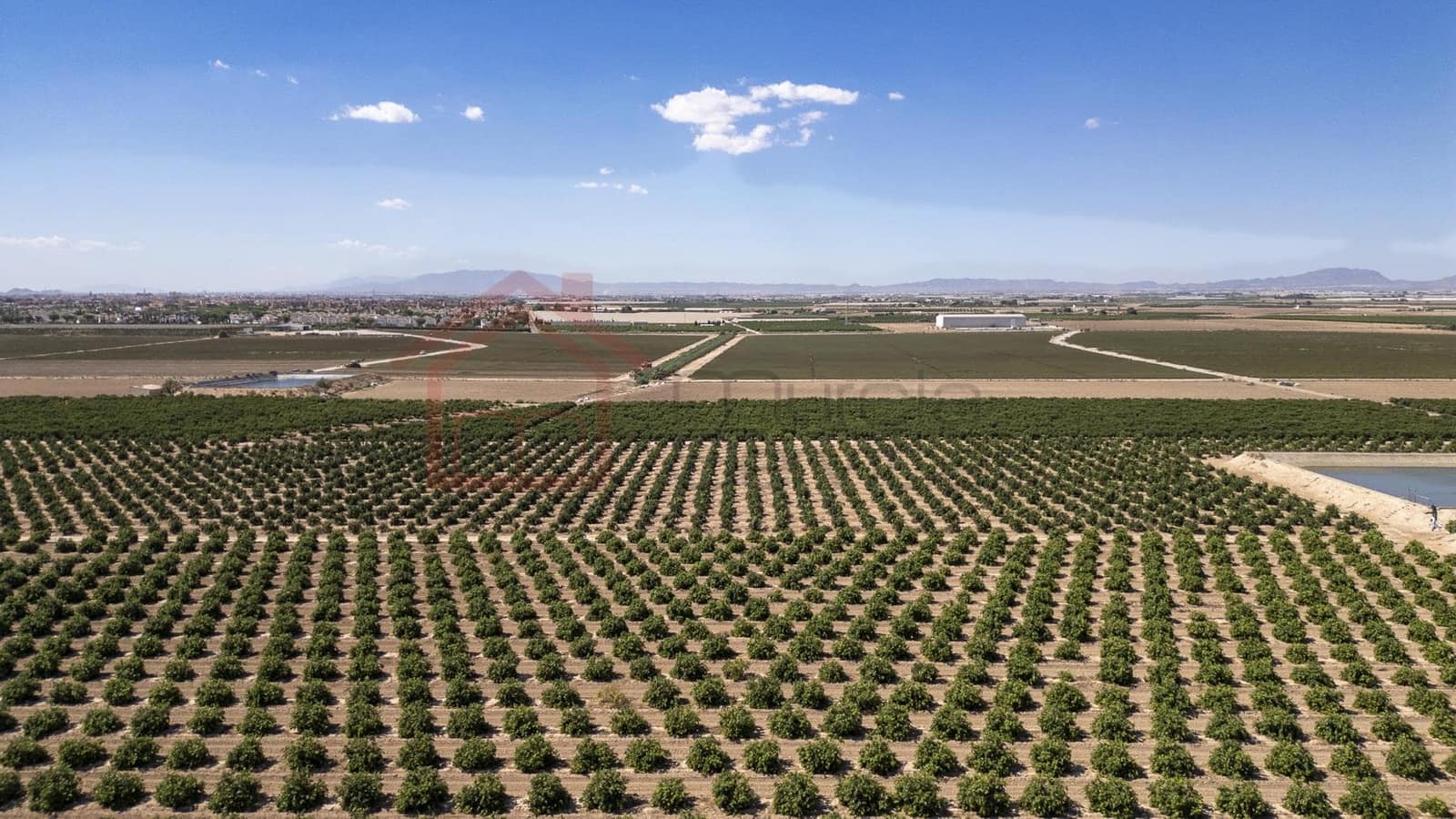 4 bedroom Villa for sale in Torre-Pacheco - € 599,000 (Ref: 9310481)