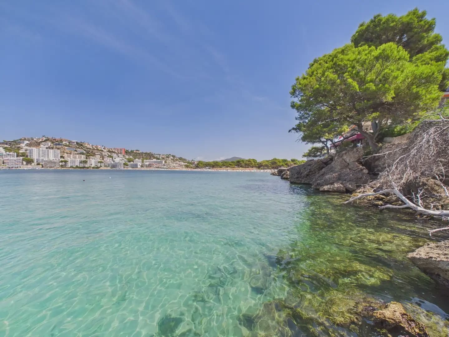 2 slaapkamer Strandappartement te koop in Calvia - € 495.000 (Ref: 10024736)