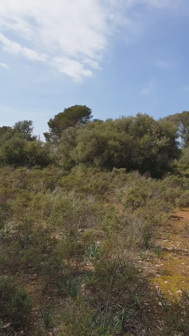 Building Plot for sale in Llucmajor - € 980,000 (Ref: 9971535)